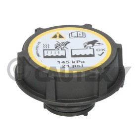 Köp Lock till expansionskärl av CAUTEX 954269 till det låga priset 113,67 kr