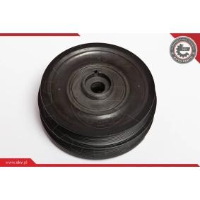 Achetez des Poulie damper (vilebrequin) ESEN SKV 95SKV303 à prix pour 86,96 €
