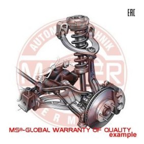 Stabigummis 9739F-SET-MS von MASTER-SPORT günstig für 3,18 € online kaufen