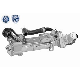 Acquista Radiatore EGR da ACKOJA A52-63-0019 a buon mercato per soli 924,26 €