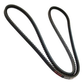 Keilriemen AVX-10X1325-PCS-MS von MASTER-SPORT günstig für 4,52 € online kaufen