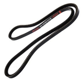 Compre Correia trapezoidal da MASTER-SPORT AVX-13X1600-PCS-MS a um preço baixo por 13,37 €