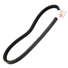 Comprar Correa trapezoidal de MASTER-SPORT AVX-13X670-PCS-MS a bajo precio de 3,23 €