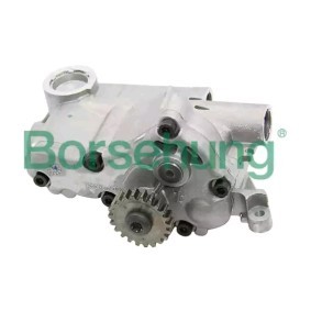 Compre Bomba de óleo da Borsehung B12698 a um preço baixo por 86,36 €