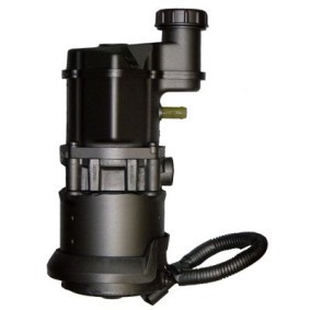 Servopumpe BERN02P von WAT günstig für 438,75 € online kaufen