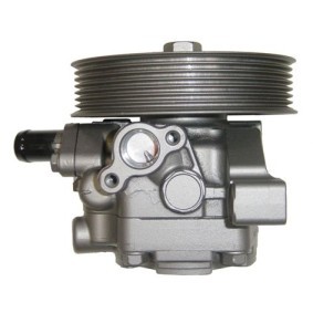 Compre Bomba de direção da WAT BHN52W a um preço baixo por 250,20 €