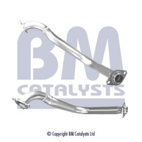 Katalysator BM80085B von BM CATALYSTS günstig für 465,37 € online kaufen