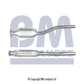 Katalysator BM80179B von BM CATALYSTS günstig für 320,56 € online kaufen