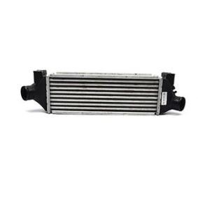 Köp Intercooler av BSG BSG 30-535-002 till det låga priset 1442,54 kr