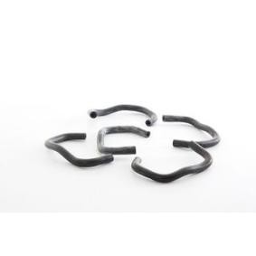 Compre Tubo flexível, respiro do cárter da cambota da BSG BSG 30-720-173 a um preço baixo por 32,83 €