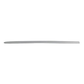 Stoßdämpfer BSG 60-300-041 von BSG günstig für 56,24 € online kaufen