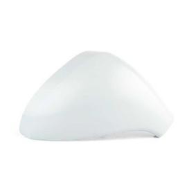 Compre Revestimento, retrovisor exterior da BSG BSG 70-915-008 a um preço baixo por 49,49 €