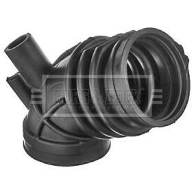 Compre Tubo flexível de admissão, filtro de ar da BORG & BECK BTH1700 a um preço baixo por 39,86 €