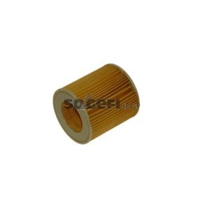 Compre Filtro de óleo da FRAM CH10075ECO a um preço baixo por 9,94 €