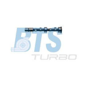 Acquista Albero a camme da BTS TURBO online per 33 (905) a prezzi moderati