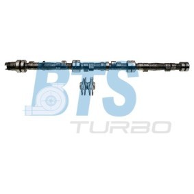 Compre Jogo de árvores de cames da BTS TURBO CP60621 a um preço baixo por 493,82 €