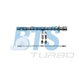Compre Jogo de árvores de cames da BTS TURBO CP60636 a um preço baixo por 366,08 €