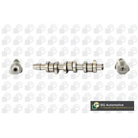Comprar Árbol de levas de BGA CS7900 a bajo precio de 144,43 €