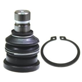 Traggelenk CX0181 von BIRTH günstig für 65,64 € online kaufen