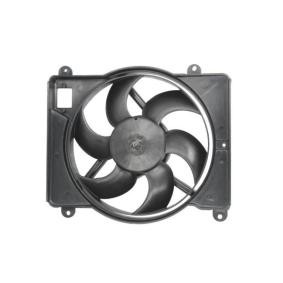 Acquista Ventola radiatore da THERMOTEC online per PUNTO (176) a prezzi moderati