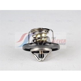 Comprar Radiador, refrigeración del motor de AVA COOLING SYSTEMS DNA2168 a bajo precio de 98,78 €