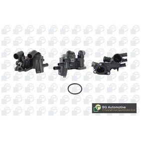Compre Polia, cambota da BGA DP1128 a um preço baixo por 111,38 €