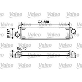 Compre Intercooler da VALEO 817875 a um preço baixo por 271,98 €