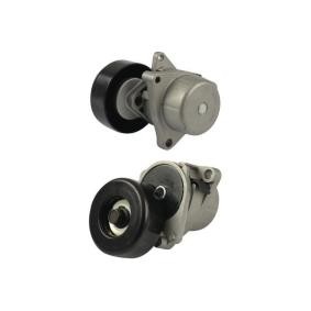 Compre Polea tensora, correa poli V de KAVO PARTS online para Altima IV Coupé (CL32) a precios moderados