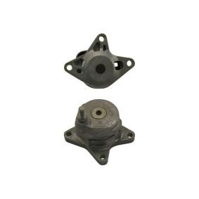 Comprar Polea tensora, correa poli V de KAVO PARTS DTP-7503 a bajo precio de 68,90 €