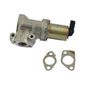 Compre Válvula EGR da KAVO PARTS EEG-3008 a um preço baixo por 144,32 €