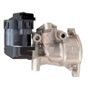AGR-Ventil EGR004 von LIZARTE günstig für 151,24 € online kaufen