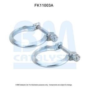 Acquista Kit di montaggio, Filtro antiparticolato / particellare da BM CATALYSTS FK11003 a buon mercato per soli 8,13 €