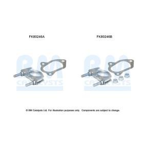 Comprar Juego de montaje, catalizador de BM CATALYSTS FK80246 a bajo precio de 7,54 €