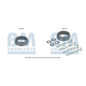 Comprar Juego de montaje, catalizador de BM CATALYSTS FK91509 a bajo precio de 24,00 €
