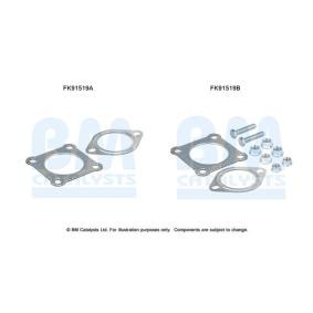 Achetez des Kit d'assemblage, catalyseur BM CATALYSTS FK91519 à prix pour 33,64 €
