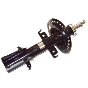 Stoßdämpfer FT11582 von FAST günstig für 64,15 € online kaufen
