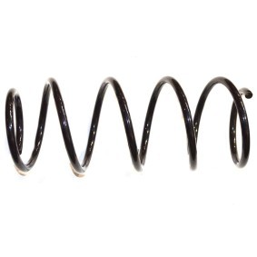 Compre Mola de suspensão da FAST FT12252 a um preço baixo por 23,00 €