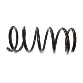 Compre Muelles de FAST online para DUCATO Caja/Chasis (244) a precios moderados