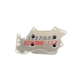 Comprar Termostato, refrigerante de FAST FT58162 a bajo precio de 42,10 €