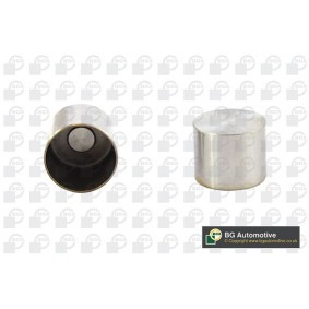 Compre Came de válvula da BGA HL2308 a um preço baixo por 9,37 €