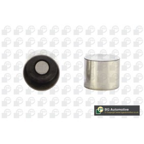 Compre Came de válvula da BGA HL2318 a um preço baixo por 9,37 €
