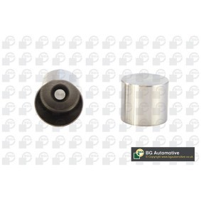 Compre Came de válvula da BGA HL7359 a um preço baixo por 9,37 €