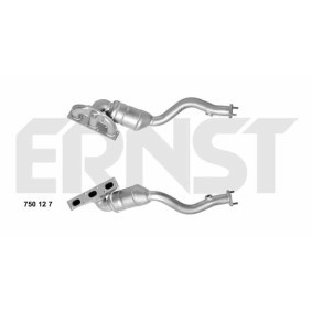 Katalysator 750127 von ERNST günstig für 508,89 € online kaufen