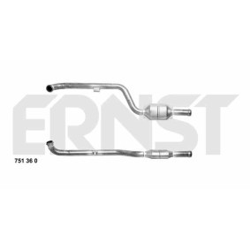 Katalysator 751360 von ERNST günstig für 712,24 € online kaufen