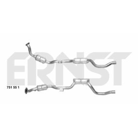Katalysator 751551 von ERNST günstig für 526,40 € online kaufen