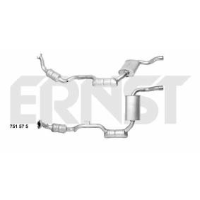 Katalysator 751575 von ERNST günstig für 829,99 € online kaufen