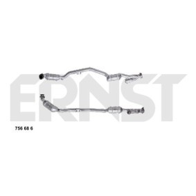 Katalysator 756686 von ERNST günstig für 613,39 € online kaufen