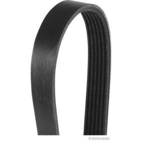Comprar Correa trapecial poli V de HERTH+BUSS JAKOPARTS J1061965 a bajo precio de 15,11 €
