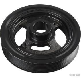 Achetez des Poulie damper de chez HERTH+BUSS JAKOPARTS en ligne pour MICRA IV (K13) à prix modérés