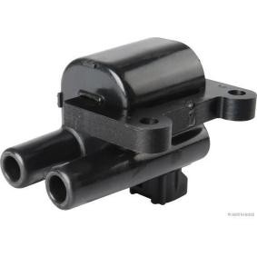 Köp Tändspole av HERTH+BUSS JAKOPARTS J5360305 till det låga priset 1480,98 kr
